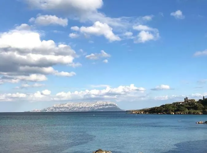 Aranzos Golfo Aranci